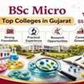 Best BSc Micro Colleges In Gujarat: SS Agrawal College