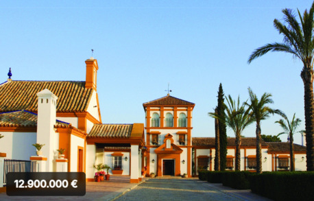 Barcelona, Real Estate For Sale, EUR 12900000,  6 BR,  4500 Sq. Meter,  Exceptional Andalusian Estate Near Sevilla