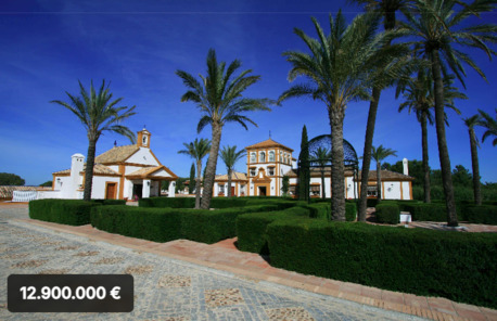 Barcelona, Real Estate For Sale, EUR 12900000,  6 BR,  4500 Sq. Meter,  Exceptional Andalusian Estate Near Sevilla