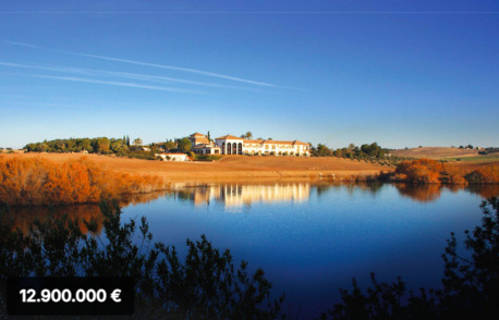 Barcelona, Real Estate For Sale, EUR 12900000,  6 BR,  4500 Sq. Meter,  Exceptional Andalusian Estate Near Sevilla