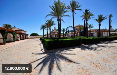 Barcelona, Real Estate For Sale, EUR 12900000,  6 BR,  4500 Sq. Meter,  Exceptional Andalusian Estate Near Sevilla