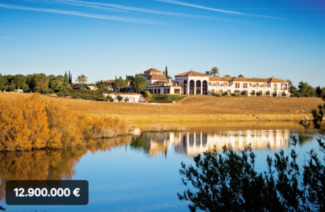 Barcelona, Real Estate For Sale, EUR 12900000,  6 BR,  4500 Sq. Meter,  Exceptional Andalusian Estate Near Sevilla