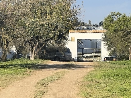 Barcelona, Real Estate For Sale, EUR 4400000,  6 BR,  1450 Sq. Meter,  Olive Grove Estate Water Resources & Agricultural Potential