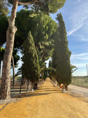 Barcelona, Real Estate For Sale, 6 BR,  475 Sq. Meter,  Beautiful Traditional Andalusian Estate.