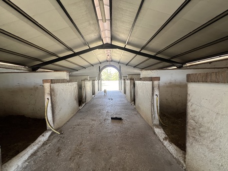 Barcelona, Real Estate For Sale, EUR 1950000,  5 BR,  385 Sq. Meter,  Magnificent Equestrian Estate With Polo Field.