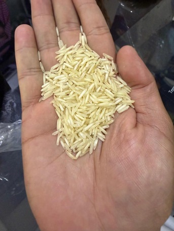 Jeddah, Food, SAR 180,  Steam Rice 1121 Premium Quality 40KG. Golden Rice 1121 40KG 24 Crop Premium Quality.
