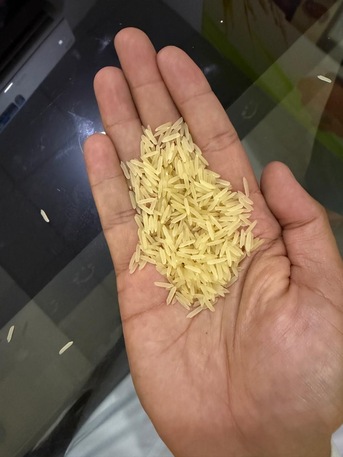 Jeddah, Food, SAR 180,  Steam Rice 1121 Premium Quality 40KG. Golden Rice 1121 40KG 24 Crop Premium Quality.