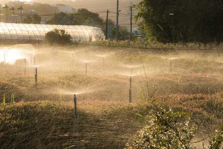 New York, Farm/Garden, Irrigation Installation Service