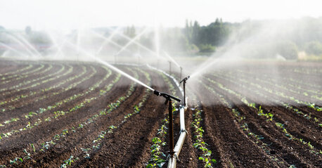 New York, Farm/Garden, Our Full Irrigation Services