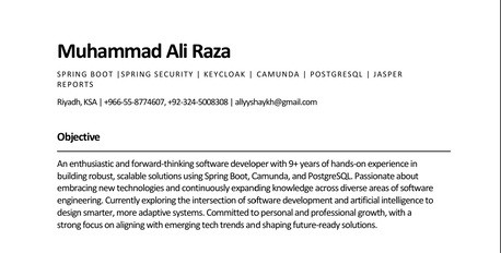 Riyadh, Job Seekers, Looking For Job Opportunity (Sr. Software Engineer)