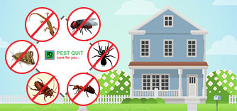 Al Mursalat, Pest Control, CHOUDHARY EXPERT PEST CONTROL 🧡 SPRAYS AND BED BUGS🧡With GUARANTEED(0537572013)  ★ 11