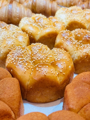 Taif, Job Seekers, I Am Loking For Work In Sous Chef Bakery.