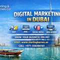 Sterling Barnes SEO - Our Digital Marketing Services In Dubai