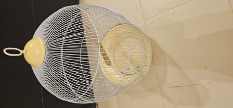 Al Malaz, Pet Supplies, SAR 80,  Bird Cage