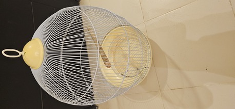 Al Malaz, Pet Supplies, SAR 80,  Bird Cage