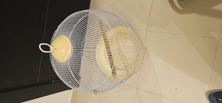 Al Malaz, Pet Supplies, SAR 80,  Bird Cage
