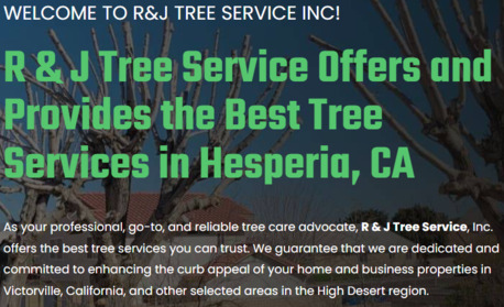 New York, Farm/Garden, Safe And Efficient Tree Removal In Hesperia &ndash; Book Our Service Now!