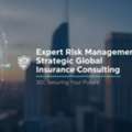 Expert Risk Management And Strategic Global Insurance Consulting