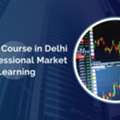 Trading Course In Delhi For Professional Market Learning