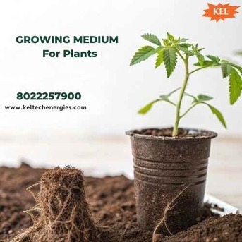 Bangalore, Farm/Garden, Premium Growing Medium For Plants For Healthy Root Growth