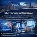 SAP Partner In Bangalore | SAP Partner In India