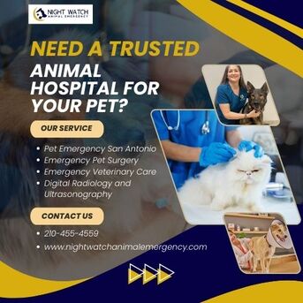 New York, Health, Need A Trusted Animal Hospital For Your Pet?