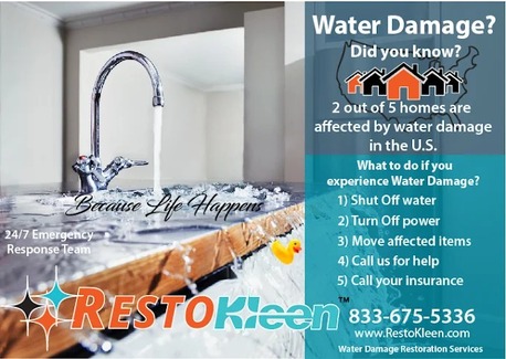 New York, Business, Restokleen Restoration