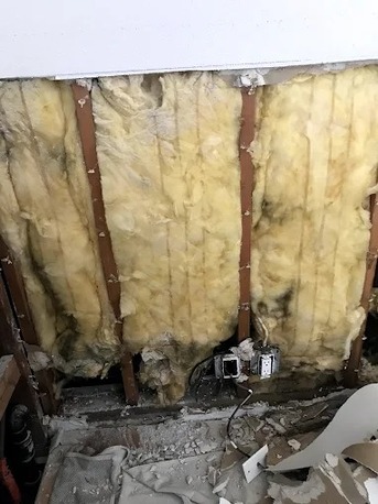 New York, Business, Restokleen Restoration