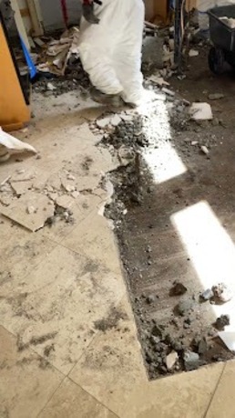 New York, Business, Restokleen Restoration