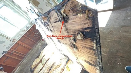 New York, Business, Restokleen Restoration