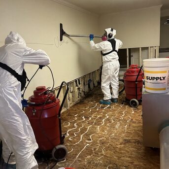 Singapore, Health, Trusted Mould Specialist Singapore For Safe Mold Removal & Inspection