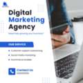 DiziVEERA - Digital Marketing Agency In Indore
