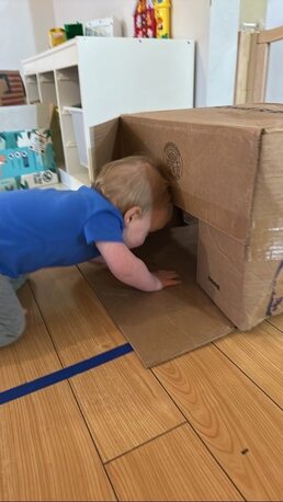 New York, Job Seekers, Whole Babies Preschool & Childcare On Chippewa