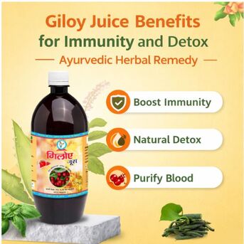 Haryana, Health & Beauty Items, INR 528,  Giloy Juice Benefits For Immunity And Detox | Ayurvedic Herbal Remedy