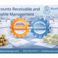 Streamline Your Accounts Receivable And Payable With Professional Management Services