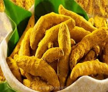 Pune, Wholesale Products, Turmeric Finger Suppliers In Pune