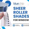 Sheer Roller Shades For Natural Light And Privacy