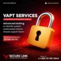 VAPT Cybersecurity Services