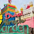 AED 999,  Dubai Miracle Garden &ndash; Comprehensive Travelers Guide 2026