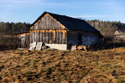 Manchester, Business, Reclaim Your Space With Fast Old Shed Removal Manchester