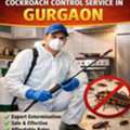 Professional Cockroach Control Service In Gurgaon | Safe & Effective Pest Removal
