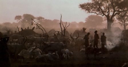 Paris, Creative, Professional Documentary & Wildlife Filmmaker