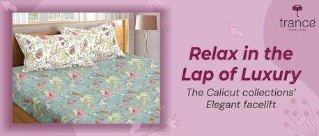 Bangalore, Household Items, Relax In The Lap Of Luxury - The Calicut Collections