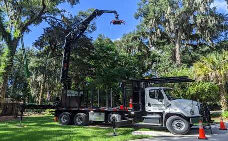 New York, Household, Commercial Tree Services Jacksonville