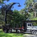 Commercial Tree Services Jacksonville