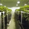 ​Consider Water-Resistant Wall Panels For Your Grow Room