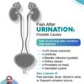 Pain After Urination: Possible Causes | Best Urologist In Bhubaneswar | Dr. Pabitra Misra