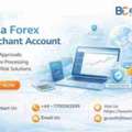 High-Risk Forex Merchant Account? We Make It Simple