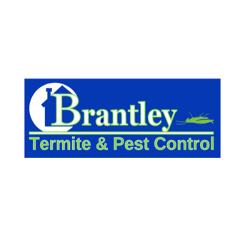 New York, Business, Professional Termite Control Services