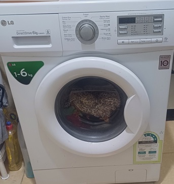 Al Aziziyah, Apartments/Houses, SAR 17000/year,  1 BR,  SAR 17000/year, 1BHK Family Flat With Household Items For Sale (Family Building)